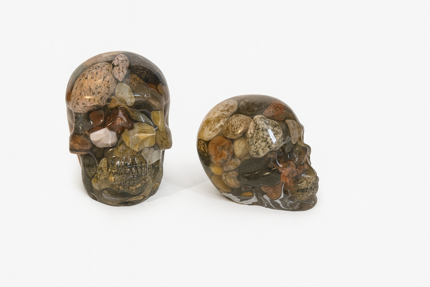 Skull with Stones