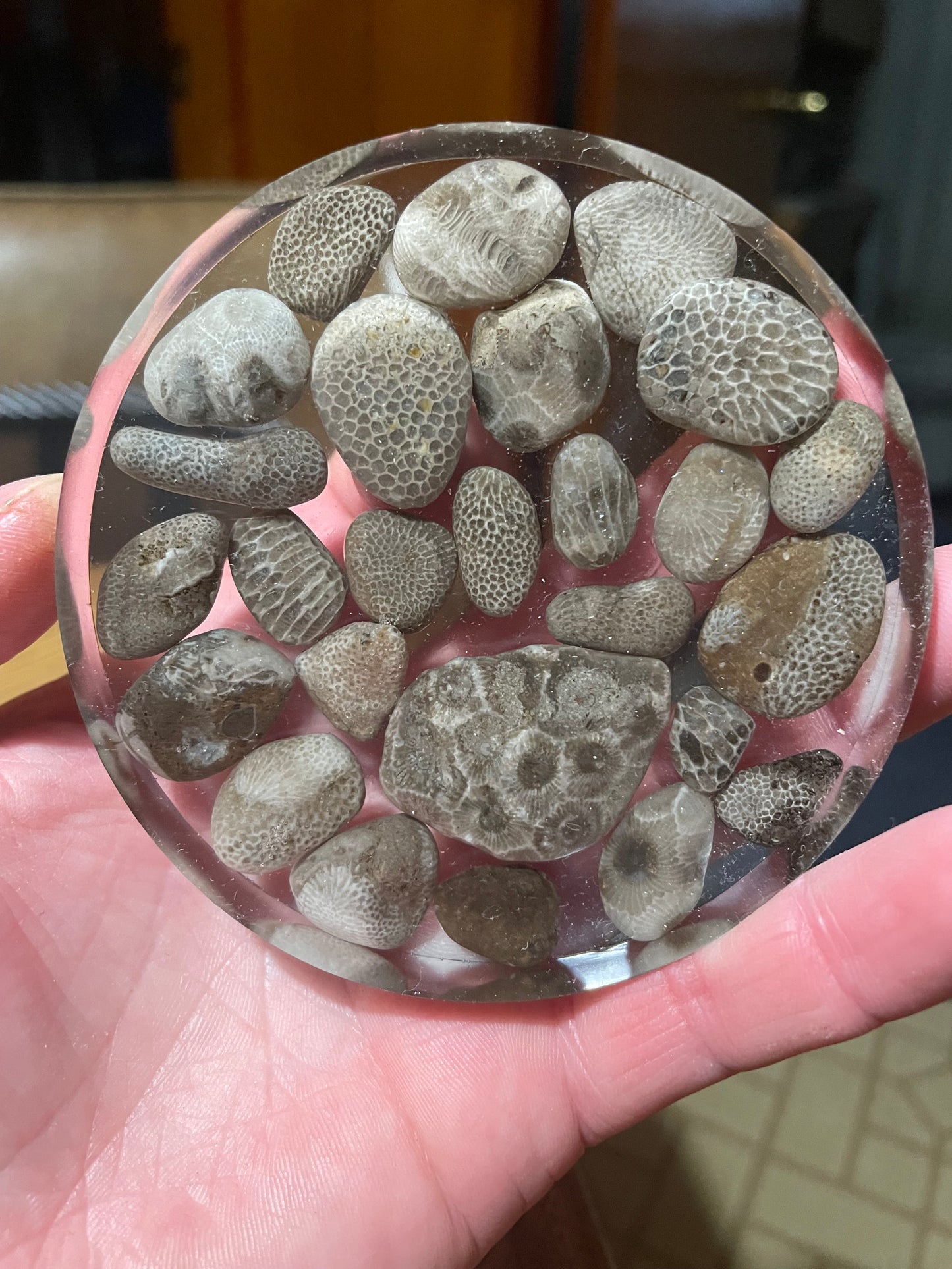 Charlevoix and Petosky Coaster