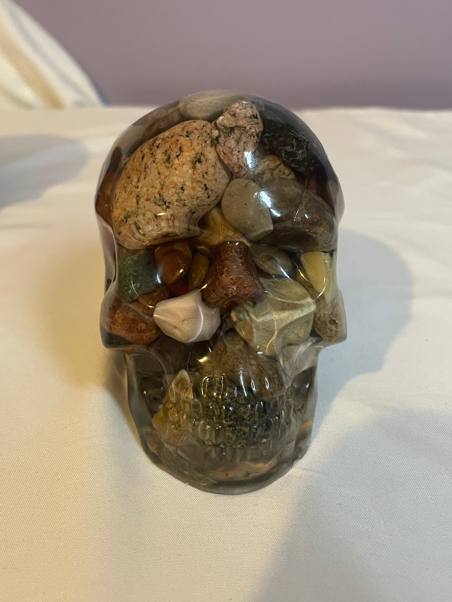 Skull with Stones