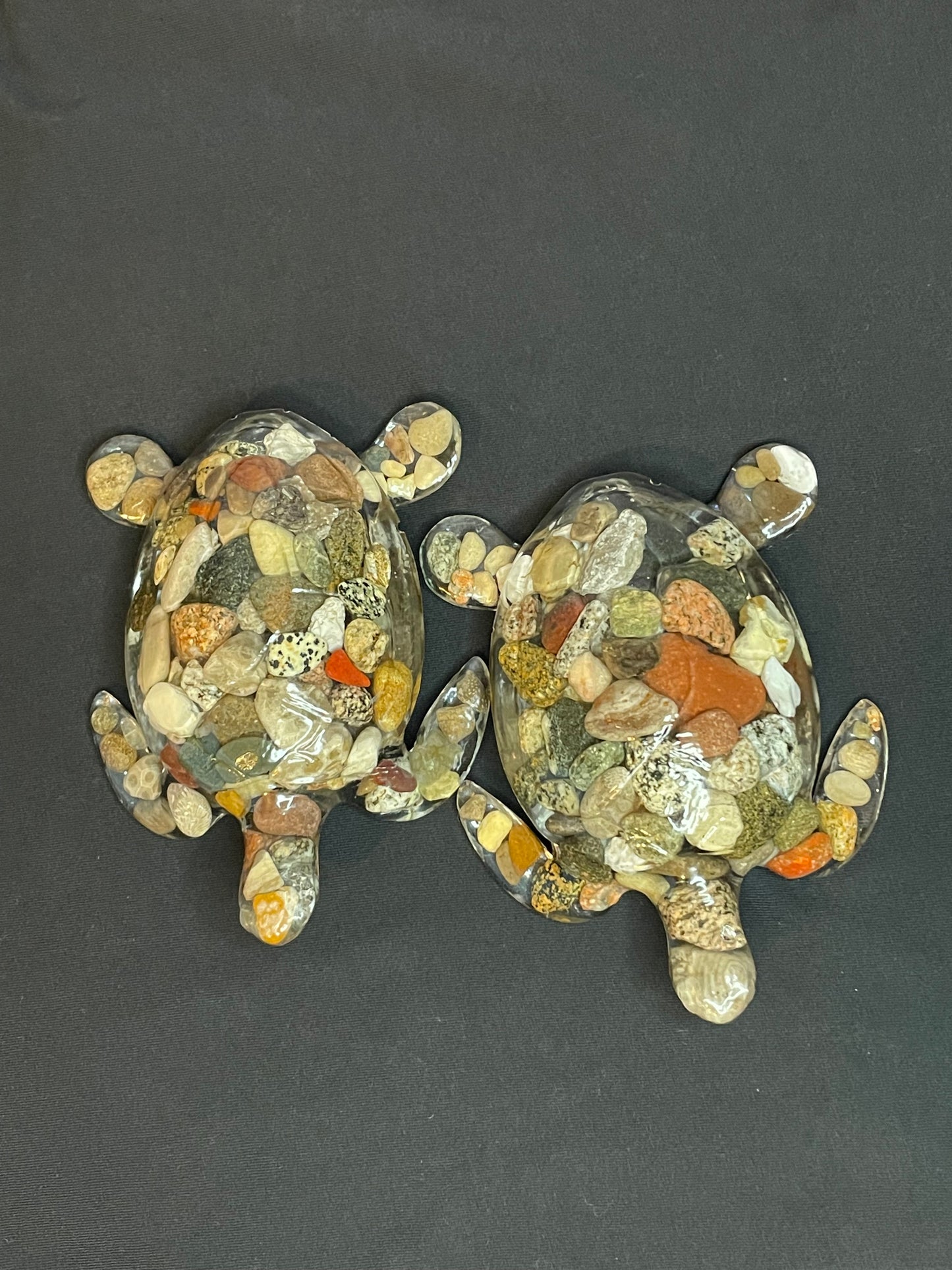 Rock Turtle (Rockel)