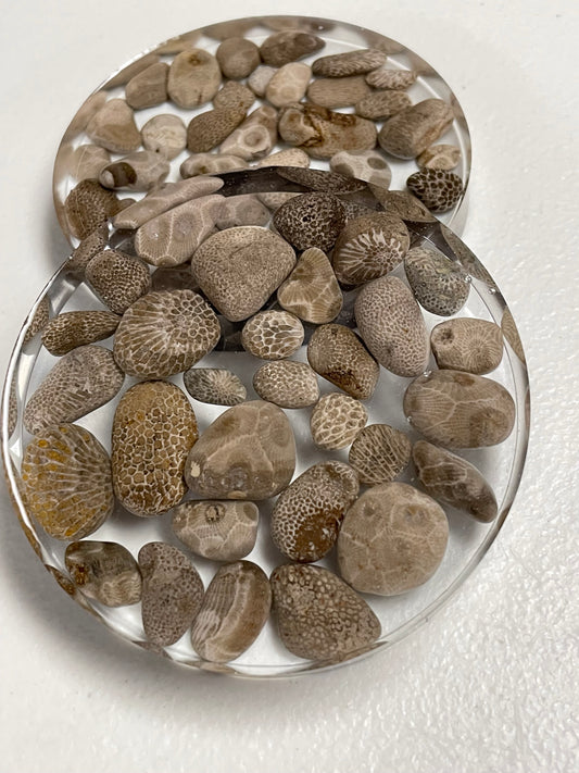 Charlevoix and Petosky Coaster