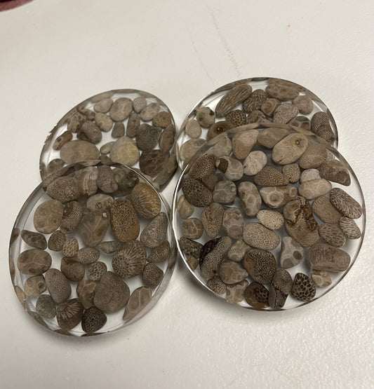 Charlevoix and Petosky Coaster